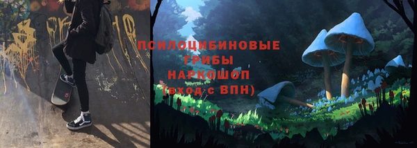 стафф Армянск