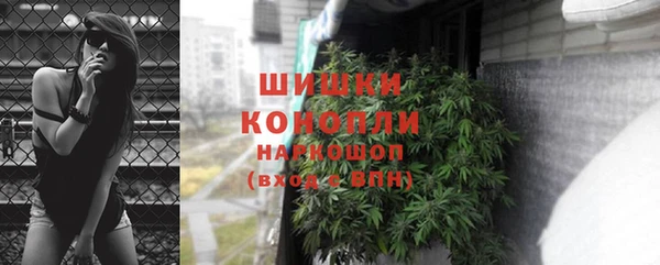сатива Арсеньев