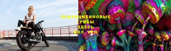 стафф Армянск