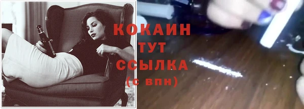 стафф Армянск