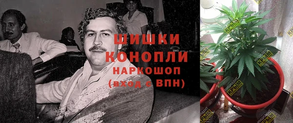 стафф Армянск